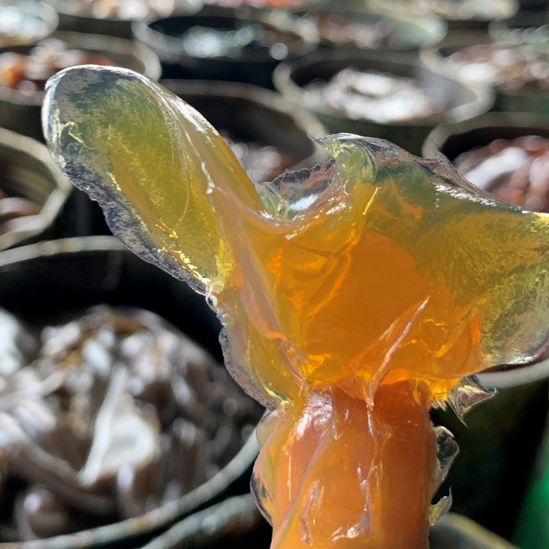 通用鋰基潤滑脂的優(yōu)點